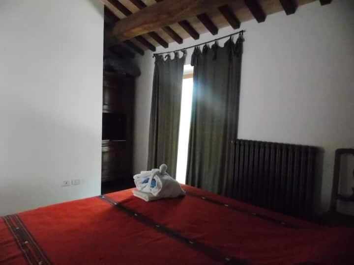 L'Alboreto Salvatico Homestay Serra San Quirico Exterior foto