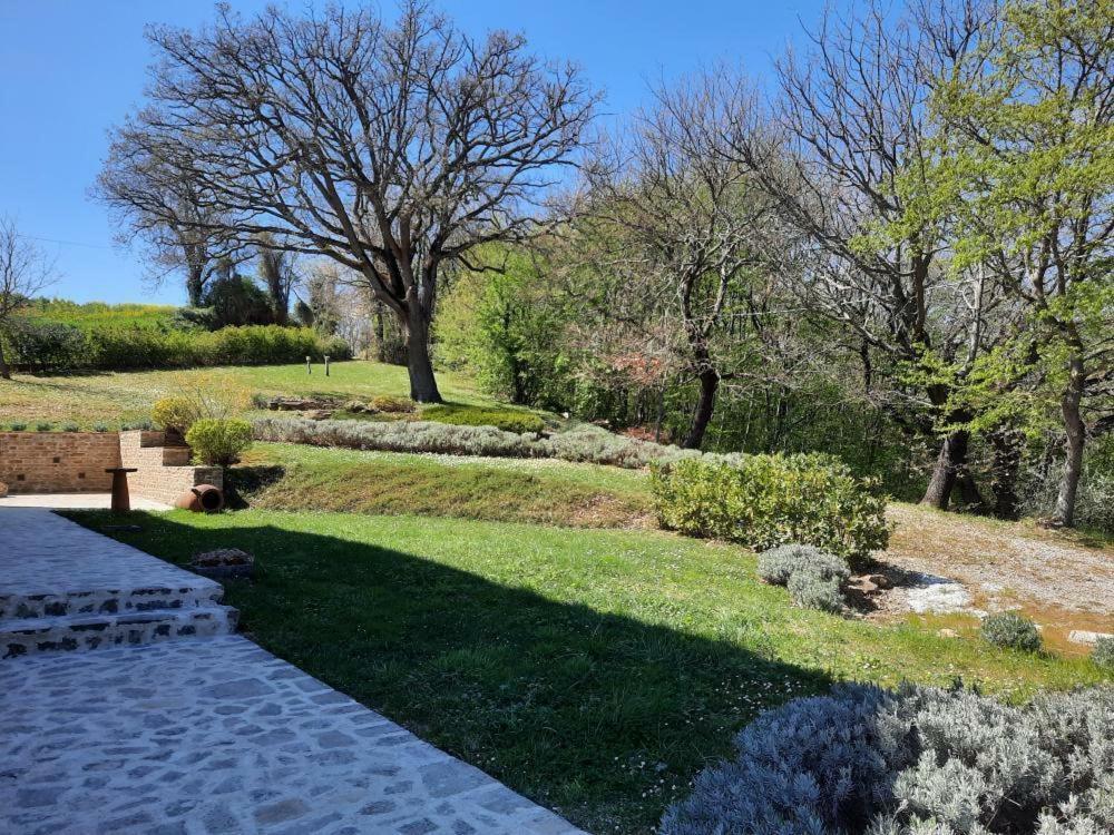 L'Alboreto Salvatico Homestay Serra San Quirico Exterior foto